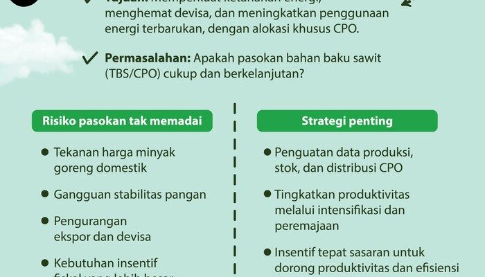 Permintaan Biodiesel Naik, Pasokan Sawit Dinilai Jadi Kunci Ketahanan Energi Nasional