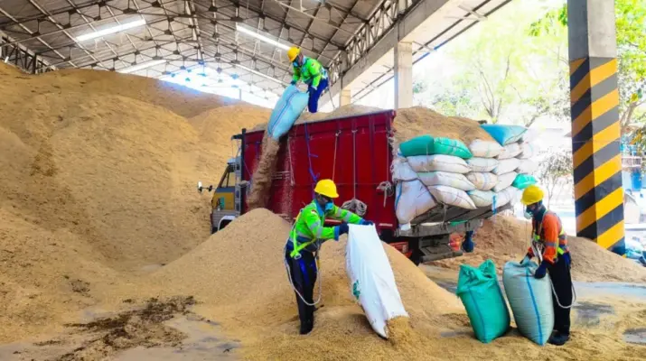 SIG Manfaatkan 400 Ton Sekam Padi per Hari untuk Kurangi Ketergantungan Bahan Bakar Fosil