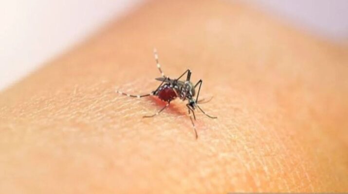 Kasus Malaria Aceh Jaya Melonjak, Aktivitas Tambang Emas Jadi Perhatian